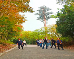 Аднойчы турніца Перл Весны